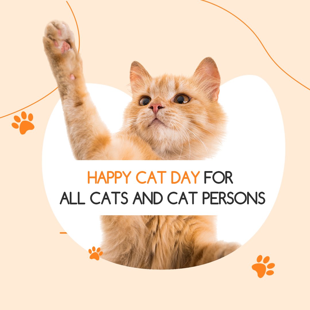 Happy Cat Day artwork featuring an orange cat